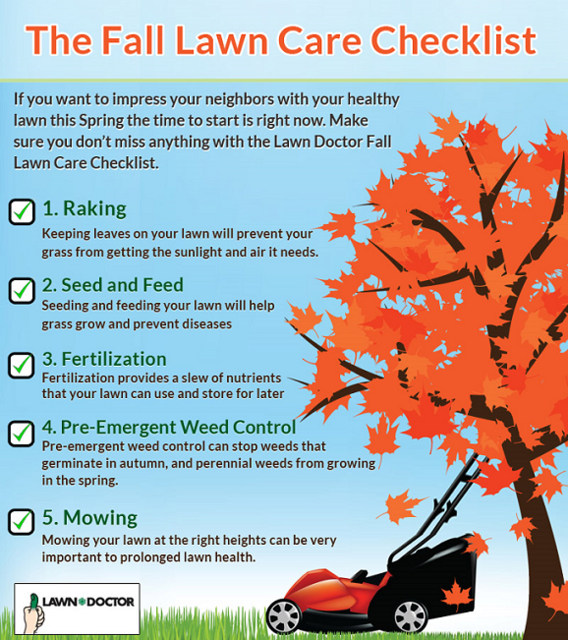 Fall Lawn Care Checklist Infographic